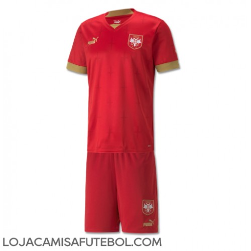 Camisa de Futebol Sérvia Equipamento Principal Infantil Mundo 2022 Manga Curta (+ Calças curtas)